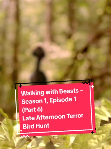 Walking with Beasts – Season 1, Episode 1 (Part 6) Late Afternoon Terror Bird Hunt Description: As the day cools, the hunters move. In the fading light of the late afternoon, terror birds return to the role they were built for — pursuit and precision. Long legs carry them across open ground as smaller mammals scatter, every movement a calculation between escape and death. This segment captures predation without spectacle: ambush from shadows, speed, endurance, and a killing strike delivered by b