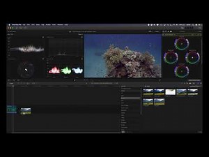 Underwater Video Colour Correction Made Easy