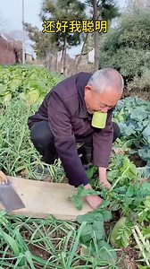 1.5M views · 4.7K reactions | I can't eat the whole radish at home by myself, but I'm smart. | Funny Family Y | Facebook