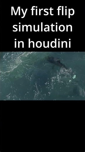 My first flip simulation in Houdini #houdini #blender #autodeskmaya #vfx