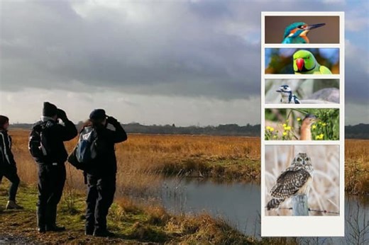 Nine ideal spots around Leeds to help with RSPB's Big Garden Birdwatch Weekend