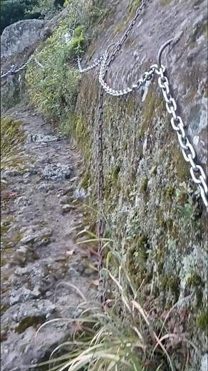 [Boundai] A free thrill spot🤪