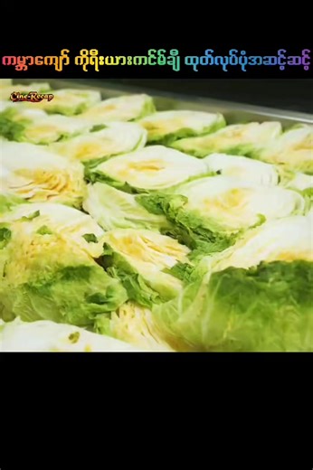 Kimchi Making Process in Korean Factories