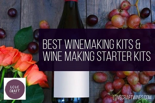 10 Best Wine Making Starter Kits (2025 Review)