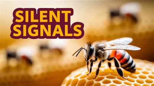 9 Incredible Animals That Communicate Without a Single Sound