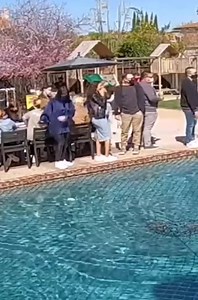 1.4K views | Firulais rays… | Classic Cartoons | Facebook