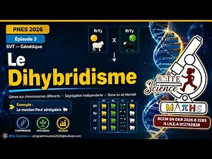 🧬 Dihybridism Explained Simply | Mendel's 3rd Law | Biology Episode 3
