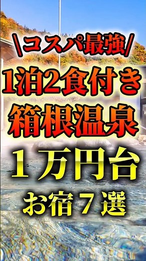 Hakone hot spring inn with 1 night and 2 meals for under 10,000 yen #ryokan #onsen #travel