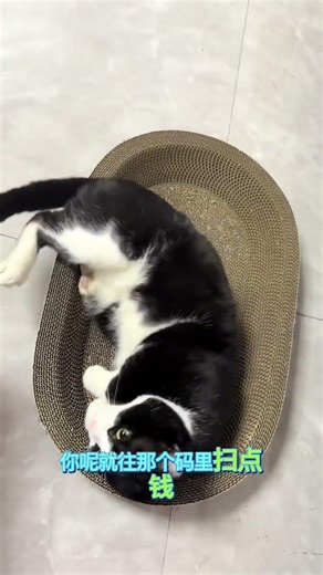 Do Cows and Cats Share a Secret Language