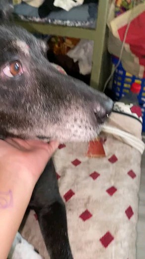 Amar Sona chele😘😘.. miss u viku. Miss u a lot. Valo thakis baba..❤️❤️ | Makeover by TINNI 8013643947