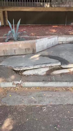 Preventing Sidewalk Damage: A Complete Guide