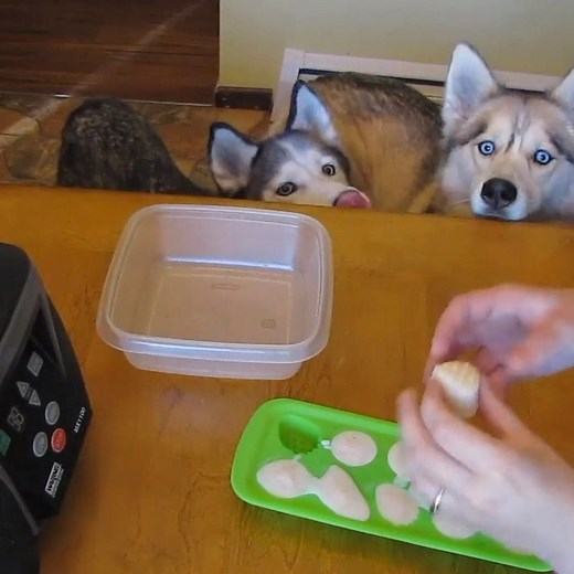 1.4M views · 795 reactions | How to make homemade DIY Frosty Paws! AKA Doggo Ice cream!  | Gone to the Snow Dogs | Facebook