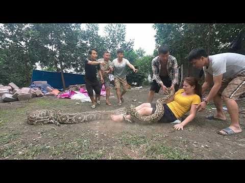 4 Brave Hunters Rescue Woman from Giant Python at Chicken Coop! Shocking Encounter