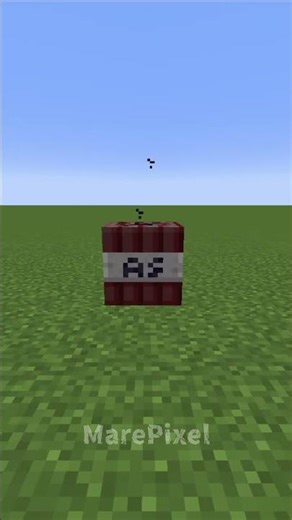 Firework TNT Is Actually Broken 🎆😂