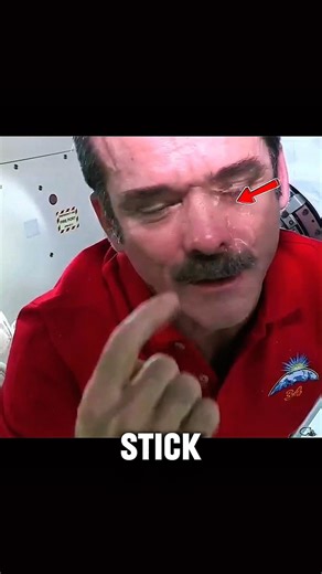 What Life in Space Is Really Like | Astronaut Daily Routine