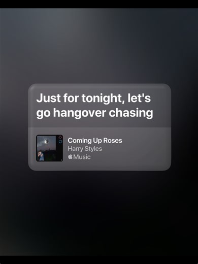 Harry Styles - Coming Up Roses Lyrics