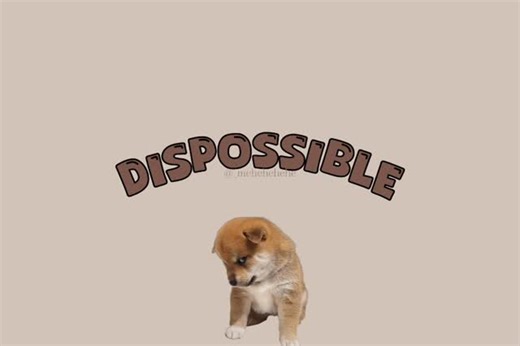 🐊 on Instagram: "Mai kah laadle 😂❤️ . . . . . [typography, funny, cat reels, cat memes, stickers, edits, faceless content, English, dispossible, typography vali script, maths] #fyp #relatable #memes #funny #catreel #catmemes #memesdaily #comedy #viral #explore #goviral #edit #sticker #insta #friends"