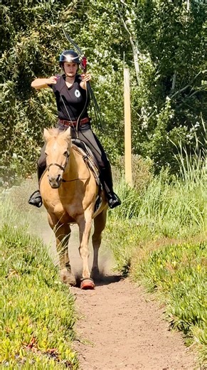 Glint rocking his new @renegadehoofboots boots! I must say, these are definitely my favourite hoof boots yet! | Sasha Chadburn