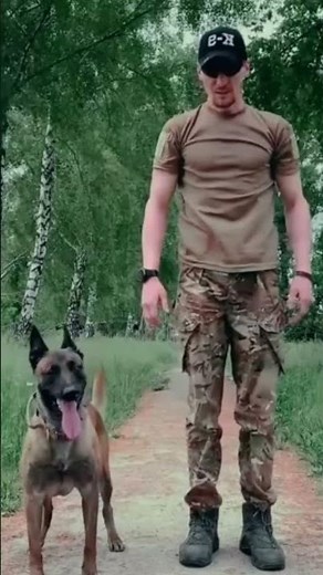 🐕‍🦺 INSANE Military Dog Training You Won’t Believe 😳🔥 (Elite K9 Skills)