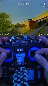 My First Bird Attack on My Drone