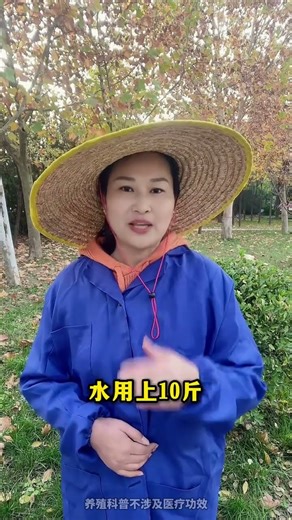 冬季养鸡，让鸡健康的好方法 #三农 #养鸡 #农村养鸡 #养鸡鸭鹅