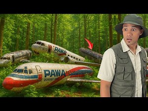 I Found Abandoned Planes in a Forest | Whose Are They?