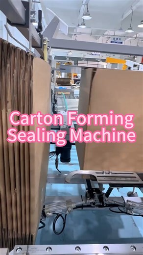 2 in 1 carton forming and sealing machine #packingmachine #cartonsealingmachine #formingmachine #foodfactory | Packaging Machinery