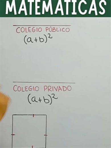 Diferencias entre colegio público y privado en matemáticas