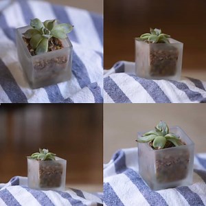 12 reactions | Put your product on a pedestal with this easy as pie shooting tip. | Animoto | Facebook