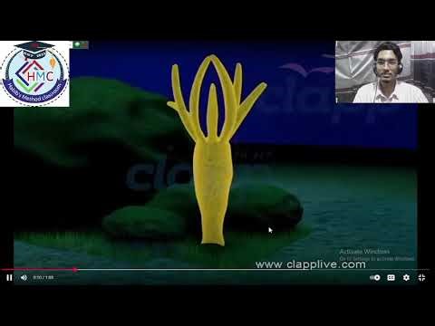 HSC Biology 1st paper chapter ; Hydra part ; 02