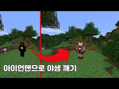 마인크래프트에서 아이언맨 체험해보기