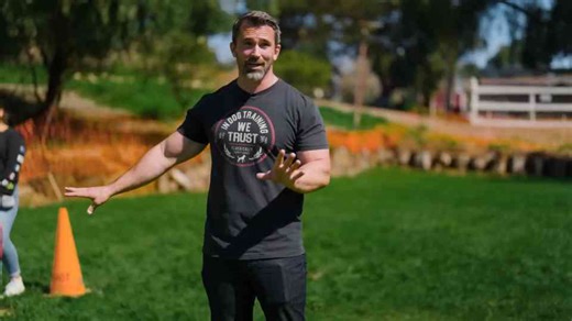 Why experts say this single experience can change everything for your dog