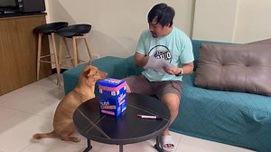 28M views · 1.8M reactions | Paktay bakit wala sa listahan si Lava  #tropangL | Alvin and the Tropang L | Facebook