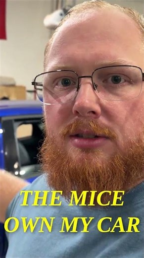 I Fixed My Car… But the Mice Still Own It
