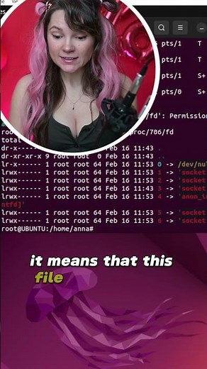Learn Linux: file descriptors and socket inode numbers #linuxsystem #learnlinux