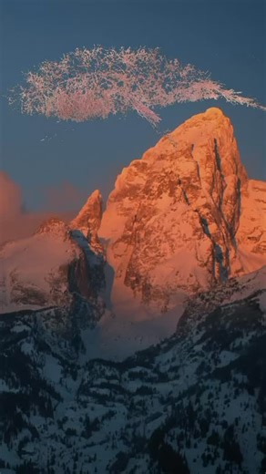 1.1K views · 128 reactions | I’m making a 60 foot tumblewhale next summer at the new CWC campus and I need help collecting them before the snow gets deep. Thanks @treefighter for creating this video. | Ben Roth | Facebook