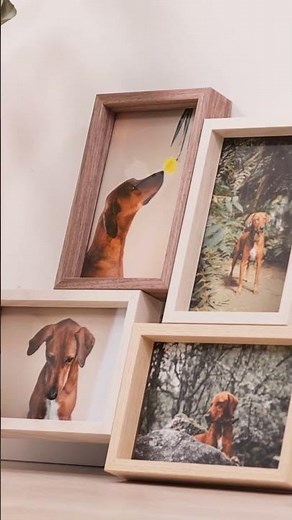 AllesRahmen Collagerahmen #Fotos #Holzbilderrahmen #interior #collagerahmen #wandgestaltung