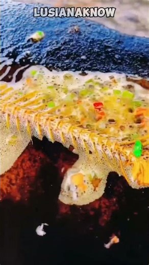 Tuulang Ikan Bakar Batu — Warisan Kuliner Hangat dari Tanah Papua! #food #kuliner #shorts