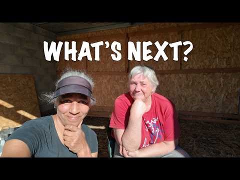 CINDY & LUISE / WHAT'S NEXT?
