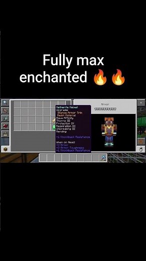Fully max enchanted netherite armour