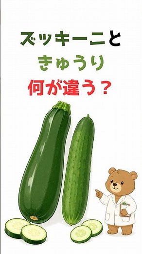 ズッキーニときゅうり、何が違う？