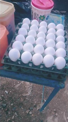 Ja Bhi Kasmein #shorts #videos #song #video #music #viral #love #lovesong