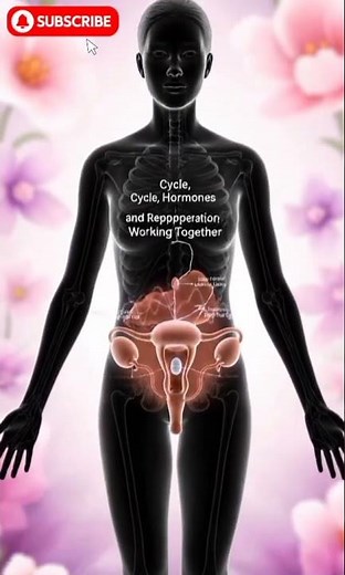 Ovulation Explained | How the Egg is Released in the Female Body (3D Animation)