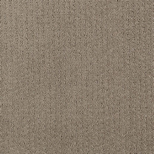 Reviews for Lifeproof Sequin Sash - Timberline - Brown 30.7 oz. Triexta Pattern Carpet - Installation Required | Pg 4 - The Home Depot