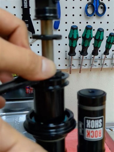 The Shock Lab on Reels