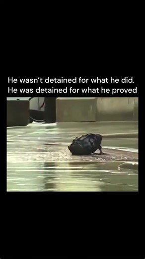 You watch the clip expecting danger, But In 2018, a man named Matthew Hughes in Milwaukee emptied a suspicious backpack before police could. No panic. No threat. Just him checking the bag, confirming it was harmless, and walking away like the moment was resolved. Then officers tackled him and charged him with disorderly conduct and obstructing an officer. That moment normalized confusion. Reports described the situation as a procedural interruption. The public was told it wasn't about danger - i