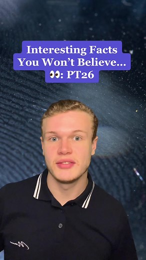 Homework Help Global on TikTok