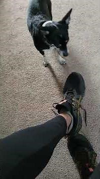 Asics Gel Venture 8 waterproof?