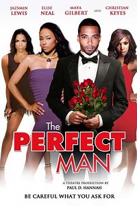 The Perfect Man (2011) - Movie
