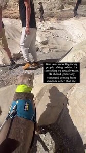 113K views · 3.6K reactions | Many trails in national parks are not...